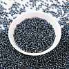 MIYUKI Round Rocailles Beads SEED-JP0009-RR2426-2