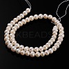 Natural Cultured Freshwater Pearl Beads Strands PEAR-E002-26-01-2