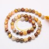 Natural Crazy Lace Agate Beads Strands G-G542-10mm-10-2