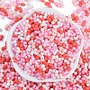 Glass Seed Beads SEED-K010-03P-3