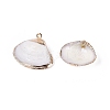 Electroplate Natural Sea Shell Pendants SSHEL-Q100-10KCG-2