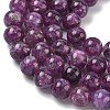 Natural Lepidolite/Purple Mica Stone Beads Strands G-C270-O05-14-4