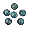 Abalone Shell/Paua Shell Cabochons SSHEL-K003-8MM-1