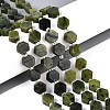 Natural Canadian Jade Beads Strands G-P534-A18-01-1