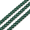 Spray Painted 304 Stainless Steel Curb Chains STAS-B067-05A-07-1