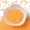 Glass Seed Beads X-SEED-S042-13A-05-2