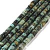 Natural African Turquoise(Jasper) Beads Strands X-G-A220-B03-01-1