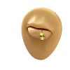 316L Surgical Stainless Steel with Acrylic Lip Rings FS-WG019E1-10-2