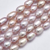 Natural Cultured Freshwater Pearl Beads Strands PEAR-F007-76B-01-1