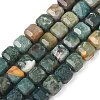 Natural Moss Agate Beads Strands G-C267-A21-2