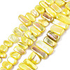 Natural Freshwater Shell Beads Strands X-SHEL-N026-123A-1