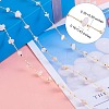 Natural Rose Quartz Chips Beaded Chains CHC-SZ0001-62L-2