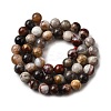 Natural Mexico Crazy Agate Beads Strands X-G-L615-A01-01-7