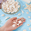 DIY Natural Shell Jewelry Making Finding Kits DIY-BT0001-37-6