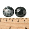Natural Moss Agate Cabochons G-C115-02A-46-3