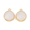 Brass Glass Charms KK-C228-01G-2