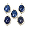 Dyed Natural Lapis Lazuli Faceted Connector Charms G-K347-11G-02-1