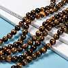 Natural Grade AB Tiger Eye Round Beads Strands X-G-O047-02-10mm-6