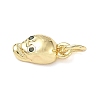Brass Micro Pave Cubic Zirconia Charms ZIRC-I356-29G-2