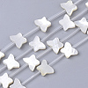 Natural White Shell Beads SSHEL-S264-069A-1