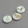 Freshwater Shell Pendants SSHEL-S249-O-1