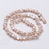 Natural Cultured Freshwater Pearl Beads Strands PEAR-P002-53D-2