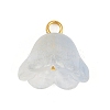 12Pcs 12 Colors Transparent Glass Charm PALLOY-JF04460-3