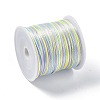 Segment Dyed Nylon Rattail Satin Cords NWIR-A008-01F-2