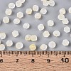 Frosted Glass Seed Beads SEED-N012-01F-4