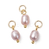 Natural Cultured Freshwater Pearl Rice Charms PALLOY-JF04841-1