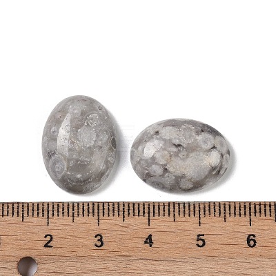 Natural Maifanite Cabochons G-B080-01A-12-1