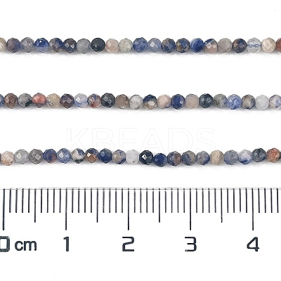 Natural Sodalite Beads Strands X-G-A097-A12-01-1