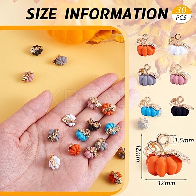 30Pcs Thanksgiving Pumpkin Charms Pendant Fall Theme Charm Colorful Pumpkin Charms for Jewelry Necklace Bracelet Earring Making Crafts JX296A-1