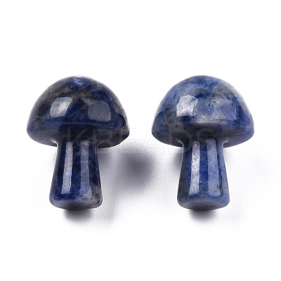 Natural Sodalite GuaSha Stone G-N0325-02V-1