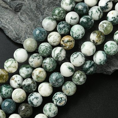 Natural Tree Agate Round Gemstone Beads Strands G-R255-10mm-1