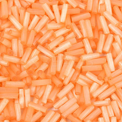 Glass Bugle Beads X-SEED-N007-28L-1