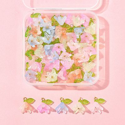 50Pcs Transparent Acrylic Pendants PALLOY-FS00043-01-1
