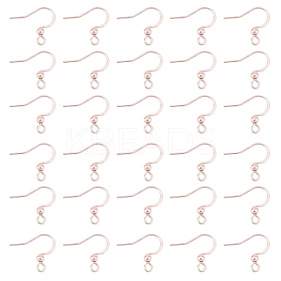 316 Surgical Stainless Steel Earring Hooks STAS-P220-13RG-1
