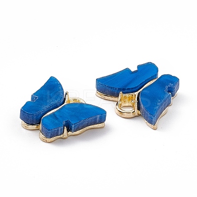 Acrylic Charms MACR-C012-01KCG-16-1