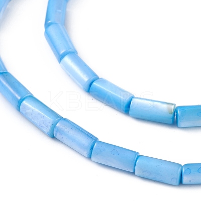 Natural Freshwater Shell Dyed Beads Strands SHEL-M018-11-06-1