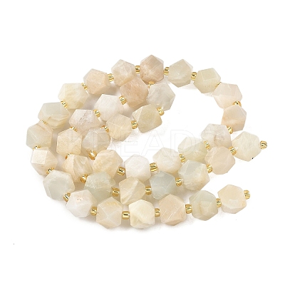 Natural Moonstone Beads Strands G-G271-A02-01-1