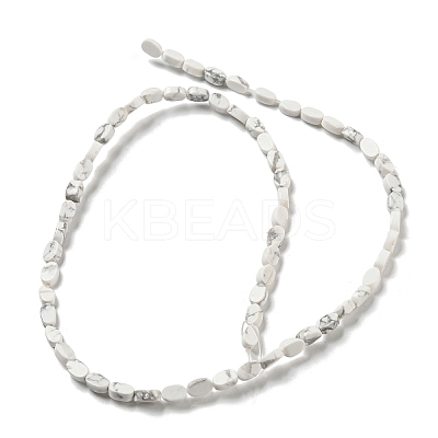 Natural Howlite Beads Strands G-M420-H14-03-1