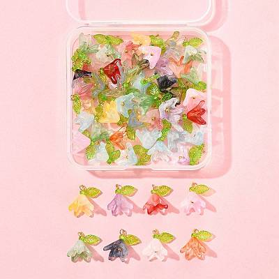 50Pcs Transparent Acrylic Pendants PALLOY-FS00043-02-1