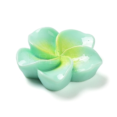 Opaque Resin Cabochons RESI-G068-02B-1