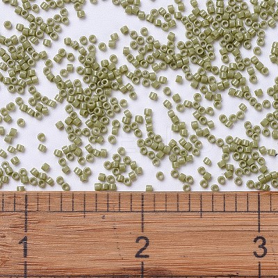 MIYUKI Delica Beads SEED-MY11-DB2124-1