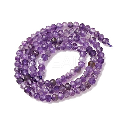 Natural Amethyst Beads Strands G-N342-24-01-1
