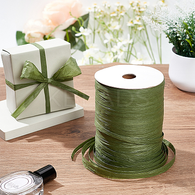 Flat Raffia Paper Ribbon OCOR-BC0006-20C-1