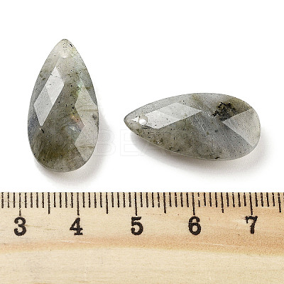 Natural Labradorite Pendants G-H007-08I-1