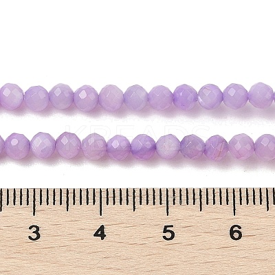 Natural Freshwater Shell Dyed Beads Strands SHEL-R100-12A-01-1