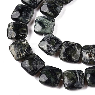 Natural Kambaba Jasper Beads Strands G-T138-171-1